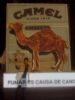 CamelCollectors avatar Jorge Trejo