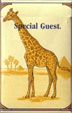 CamelCollectors http://camelcollectors.com/assets/images/pack-preview/CH-011-03.jpg