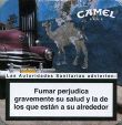 CamelCollectors http://camelcollectors.com/assets/images/pack-preview/DF-022-09.jpg