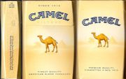 CamelCollectors http://camelcollectors.com/assets/images/pack-preview/DF-070-27.jpg