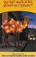 CamelCollectors http://camelcollectors.com/assets/images/pack-preview/FR-024-15.jpg