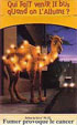 CamelCollectors http://camelcollectors.com/assets/images/pack-preview/FR-025-06.jpg