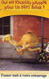 CamelCollectors http://camelcollectors.com/assets/images/pack-preview/FR-026-02.jpg
