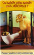 CamelCollectors http://camelcollectors.com/assets/images/pack-preview/FR-026-05.jpg