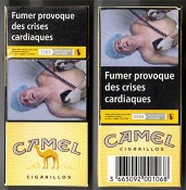 CamelCollectors France