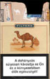 CamelCollectors http://camelcollectors.com/assets/images/pack-preview/HU-012-01.jpg