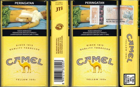 CamelCollectors Indonesia