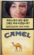 CamelCollectors Korea, Republic of