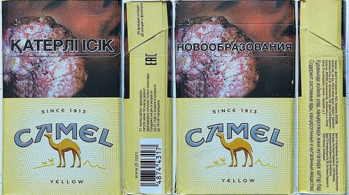 CamelCollectors Kazakhstan