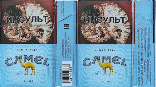 CamelCollectors Kazakhstan