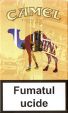 CamelCollectors http://camelcollectors.com/assets/images/pack-preview/MD-004-05.jpg