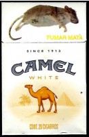 CamelCollectors Mexico