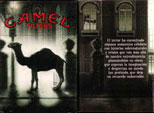 CamelCollectors http://camelcollectors.com/assets/images/pack-preview/MX-009-03.jpg