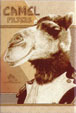 CamelCollectors http://camelcollectors.com/assets/images/pack-preview/MX-010-72.jpg