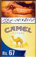 CamelCollectors Pakistan