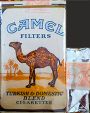 CamelCollectors Saudi Arabia