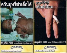 CamelCollectors Thailand