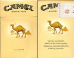 CamelCollectors Tanzania, United Republic of