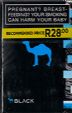 CamelCollectors South Africa