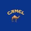 Avatar Camel-Paul