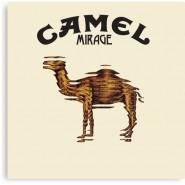 Avatar Camello DeMexico