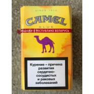 CamelCollectors avatar Ghimpu Alexandru