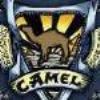 CamelCollectors avatar Herbert Zach
