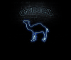CamelCollectors avatar Alejandro Gonzalez