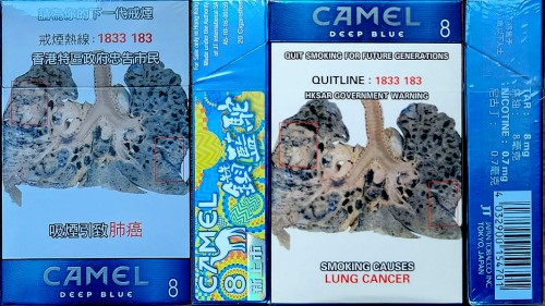 CamelCollectors Hong Kong
