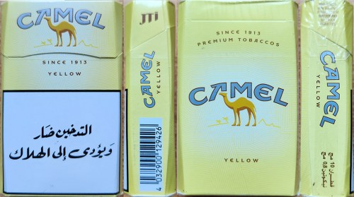 CamelCollectors Libya