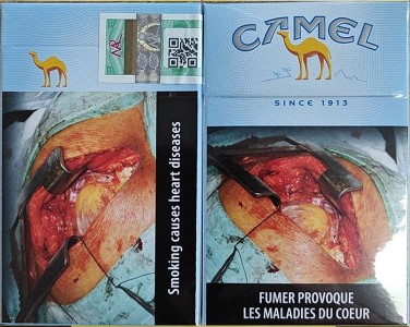 CamelCollectors Mauritius