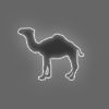 Avatar camel domi